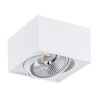 Downlight apparent RODOS PLUS GU10 AR111 15W 3000K - blanc 