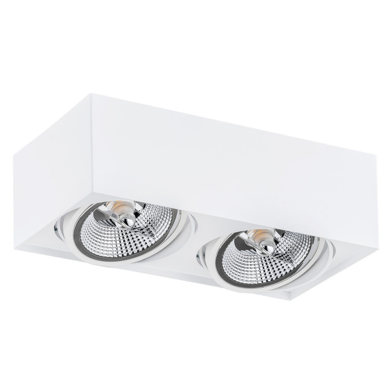 Downlight apparent RODOS PLUS 2xGU10 AR111 15W 3000K - blanc 