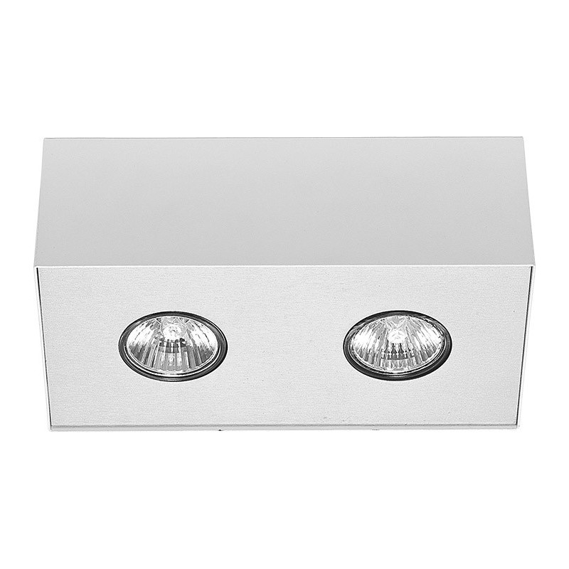 Downlight de surface CARSON II 2xGU10 - blanc / argent 