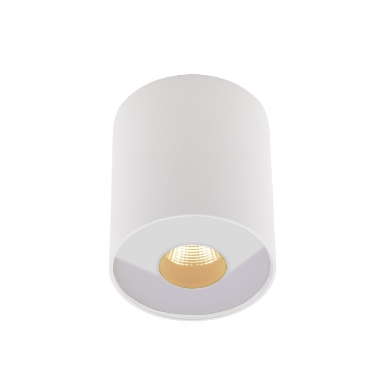 Plasma LED 13W 3000K IP54 plafonnier apparent - blanc 