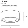 Plafonnier KODAK I LED 8W 3000K - blanc 