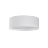 Plafonnier MILO LED 24W RGBW SMART DIM - télécommande - blanc 