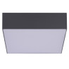 Plafonnier CASPER SQUARE LED 15W 4000K IP54 - gris foncé 