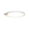 Plafonnier CIRCLE 55cm LED 30W 3000K - blanc 