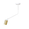 Plafonnier Design Verno Métal une Lampe Tube Blanc Style Minimaliste 