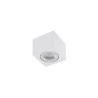 Downlight apparent ECO ALEX GU10 ES111 - blanc 