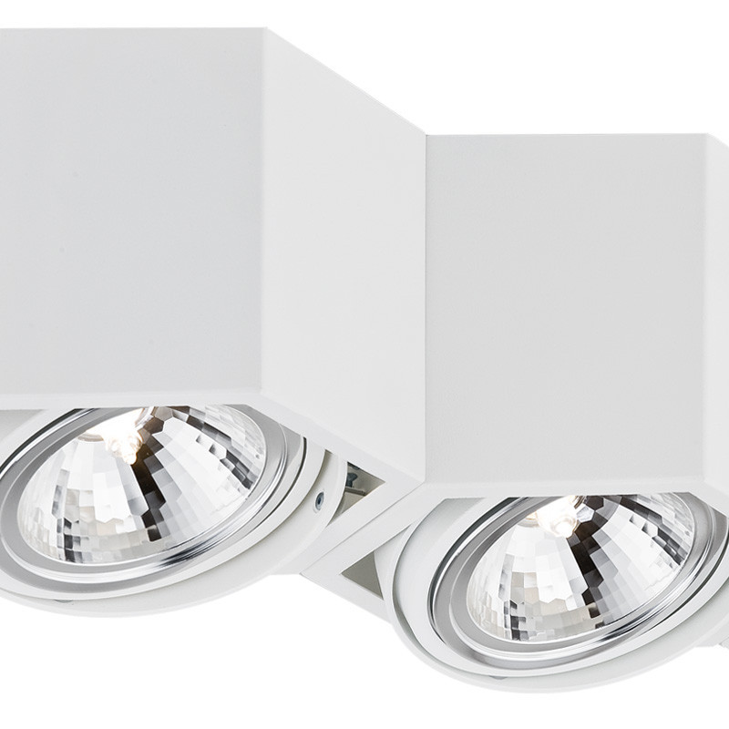 Downlight apparent ESPRESSO 2xG9 - blanc 