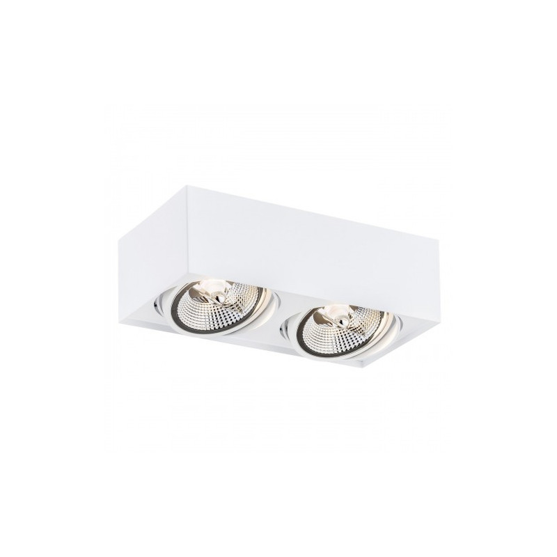 Downlight apparent RODOS PLUS 2xGU10 AR111 15W 3000K - blanc 