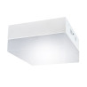 Luminaire ROBIN LED D 18W 4000K 