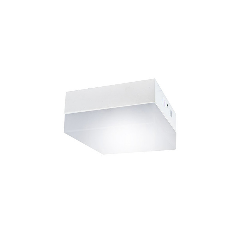 Luminaire ROBIN LED D 6W 4000K 