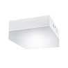 Luminaire ROBIN LED D 6W 4000K 