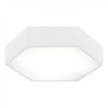 Plafonnier ARIZONA LED 22,5W 3000K - blanc 