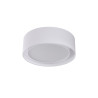 Plafonnier MILO LED 24W RGBW SMART DIM - télécommande - blanc 