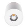 Plasma LED 13W 3000K IP54 plafonnier apparent - blanc 