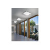 QUADRO 50 CCT LED 60W 2700K-6500K plafond - or 