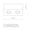 Downlight de surface CARSON II 2xGU10 - blanc / argent 