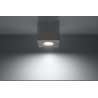 Downlight apparent QUAD 1 GU10 - béton 