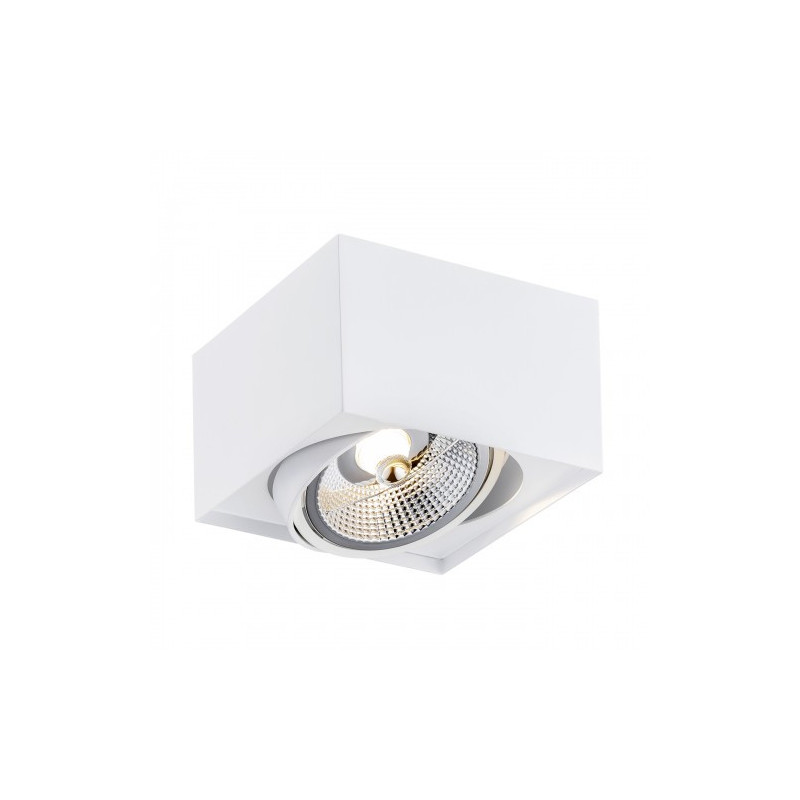 Downlight apparent RODOS PLUS GU10 AR111 15W 3000K - blanc 