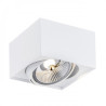 Downlight apparent RODOS PLUS GU10 AR111 15W 3000K - blanc 