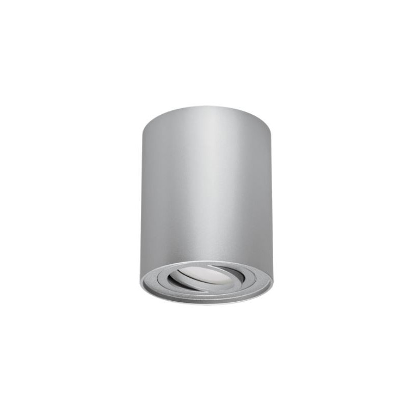 Downlight orientable HARY C GU10 argent 