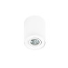 Downlight NT orientable BROSS 1 GU10 IP20 - blanc 