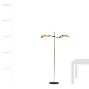 LOTUS LP2 NOIR/ROTIN