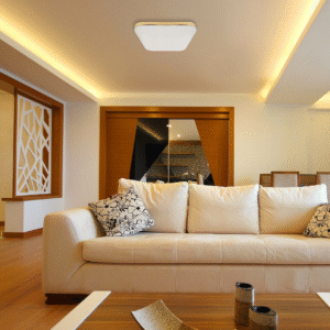 Plafonnier LED NEMO GOLD 17W