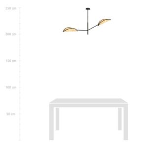 VENE 2 NOIR/RATTAN